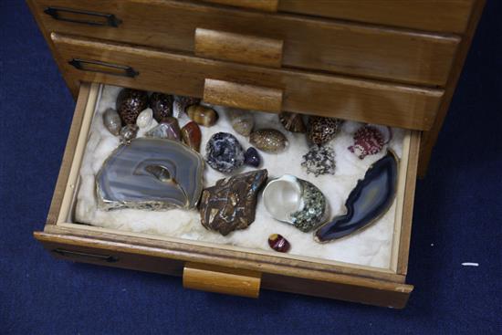 A collectors chest of beetles, mineral and fossil specimens, 3ft 5in.